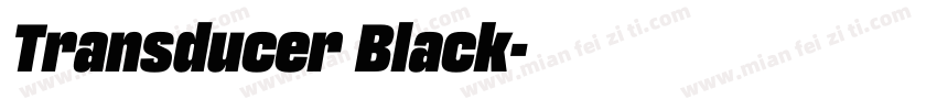 Transducer Black字体转换
